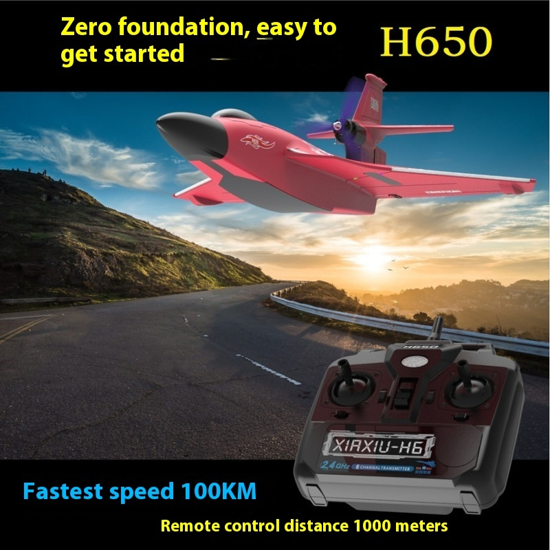 Avión teledirigido grande H650 - Rc Glider Foam Wing reseña y precio