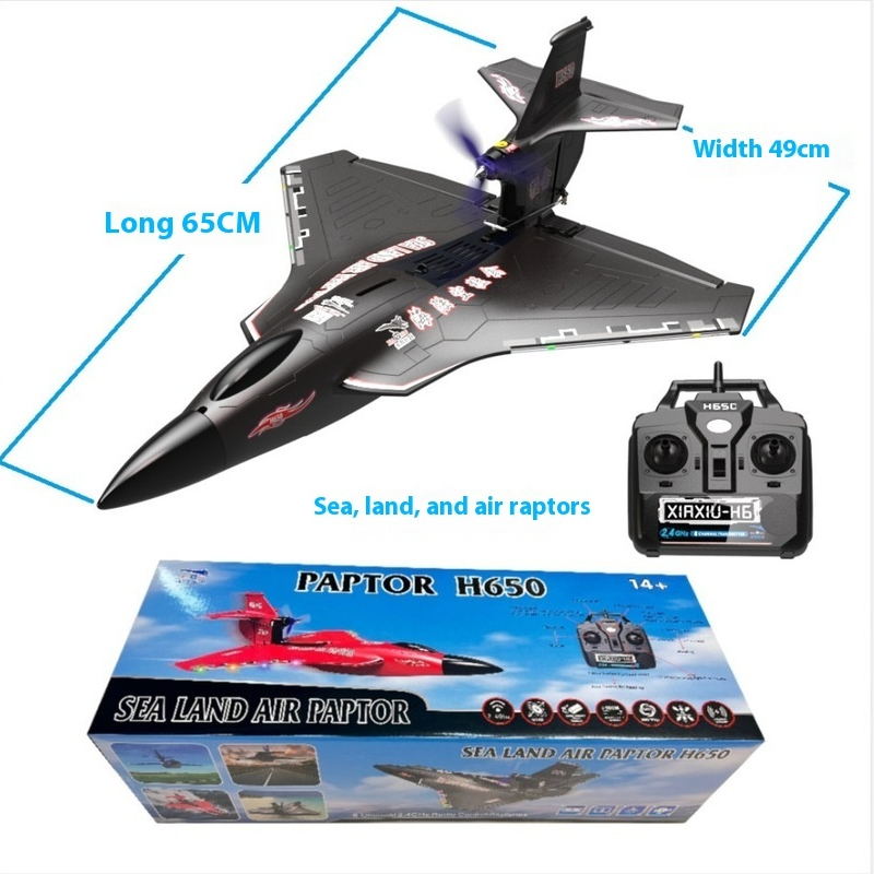 Avión RC H650 de gran tamaño,  - Rc Glider Foam Wing reseña y precio