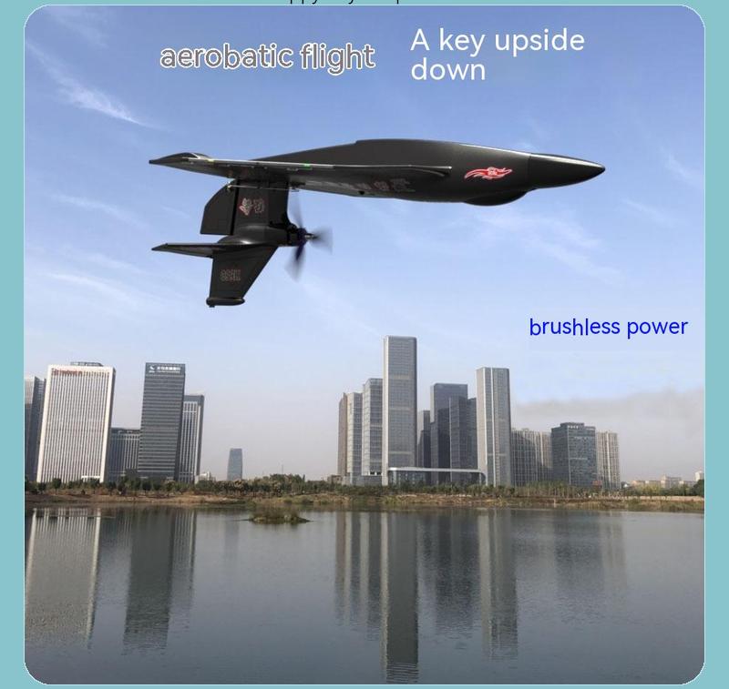 H650 Raptor, Planeador Anfibio - Rc Glider Foam Wing reseña y precio
